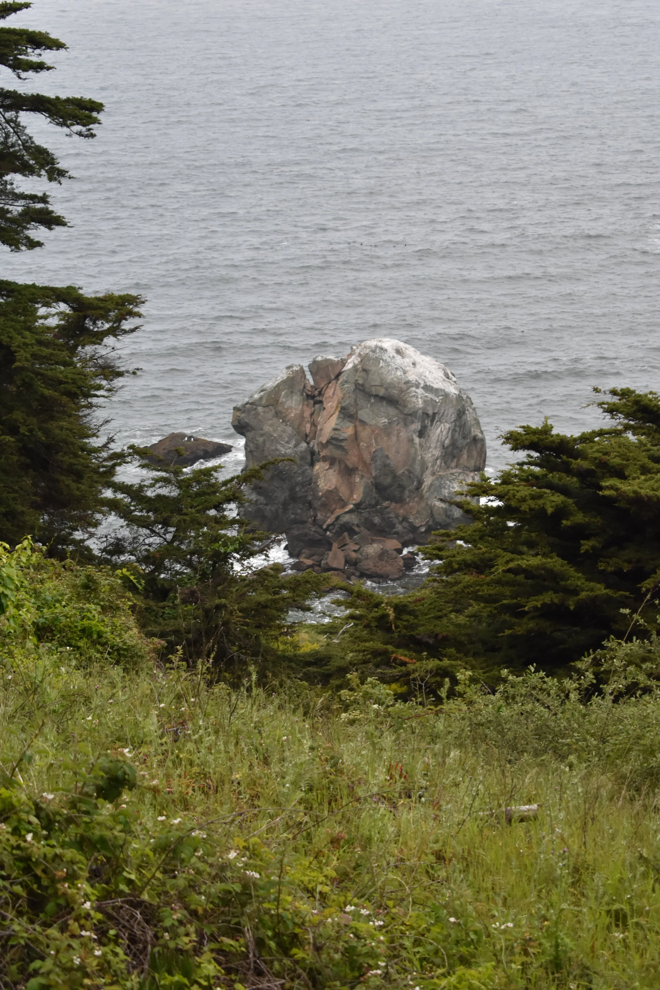 DSC_1642.JPG