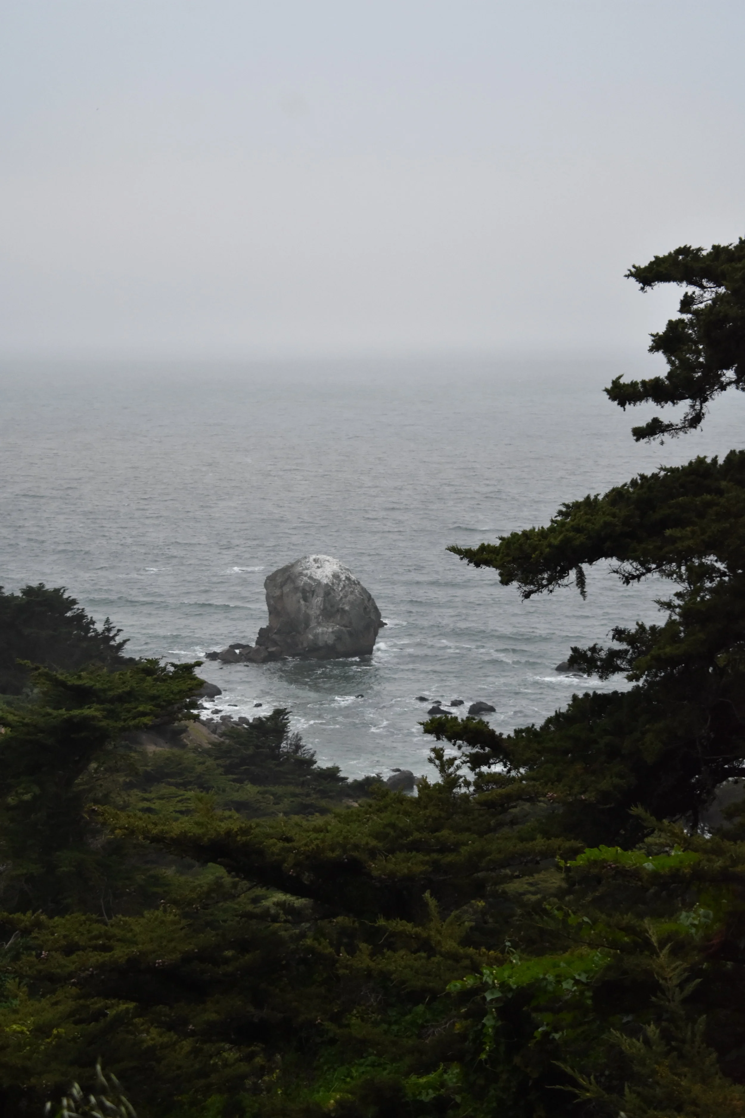DSC_1655.JPG