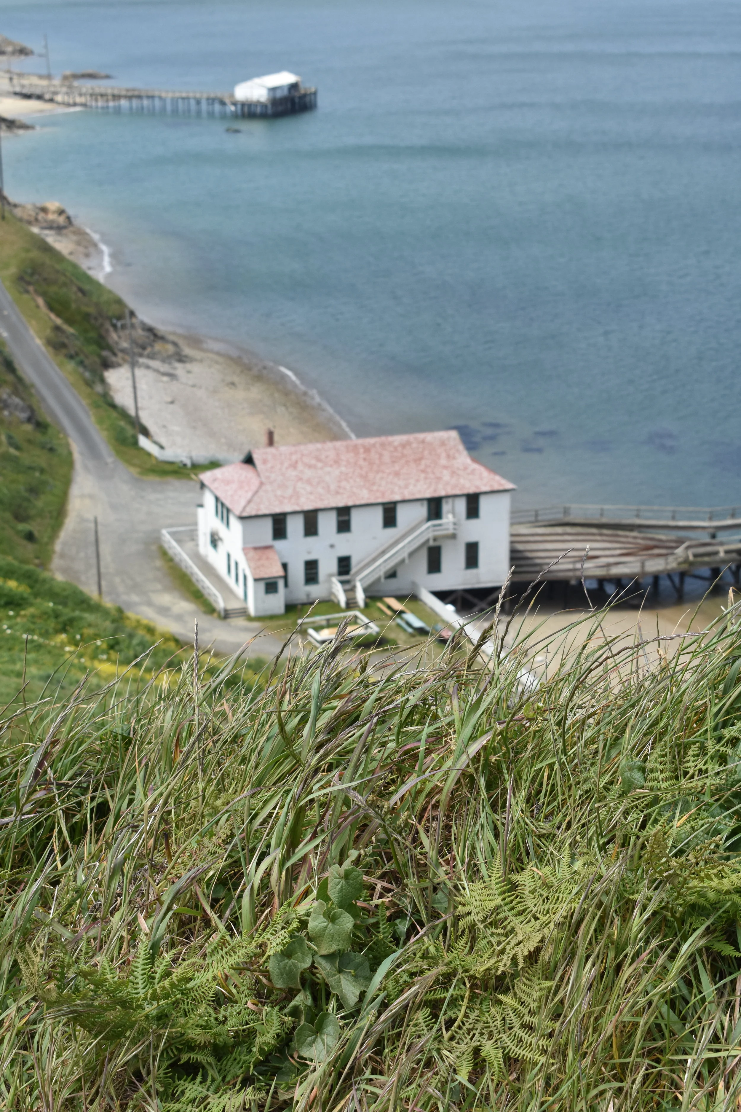 A Coastal Cruise To Point Reyes