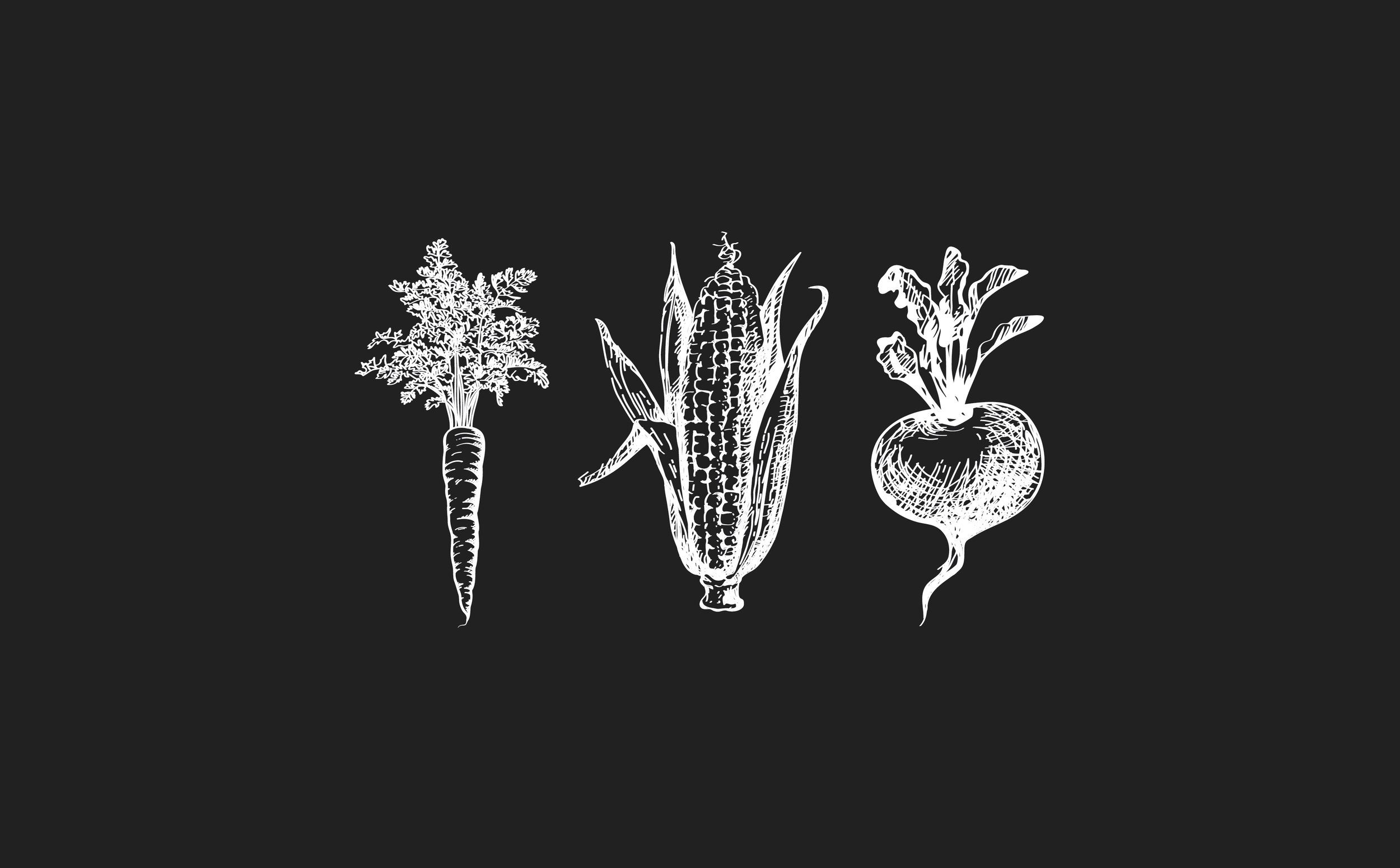 veggies2-09.jpg