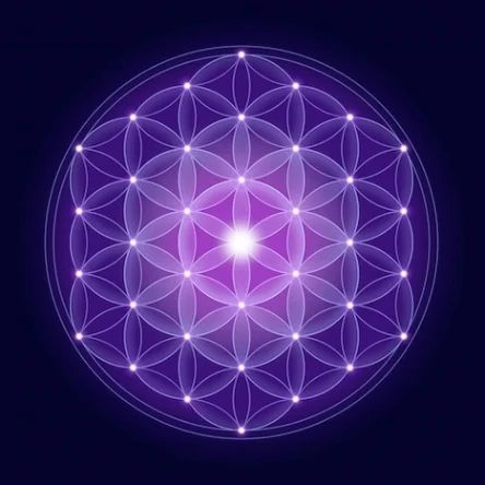 Flower-Life.jpg