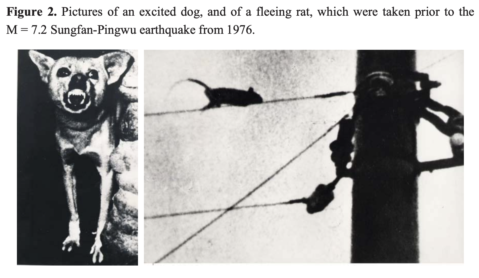 Screen Shot 2023-04-11 at 9.41.21 PM.png