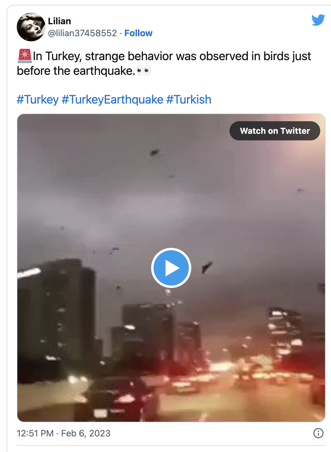 Screen Shot 2023-04-11 at 10.06.31 PM.png