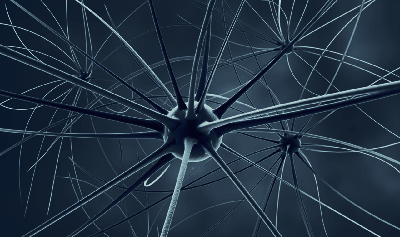 The Brain Science of Human Performance: Part 2