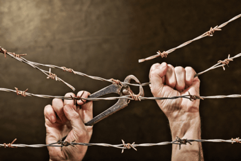 Cutting-barbedwire.png