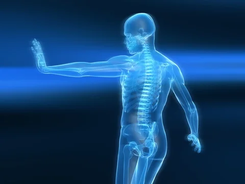 Your Organization's Safety Immune System