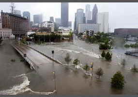 What in the World Were They Thinking?