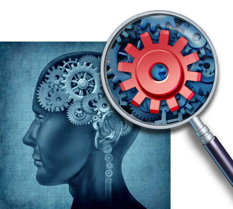 Brain-Cogs.jpg