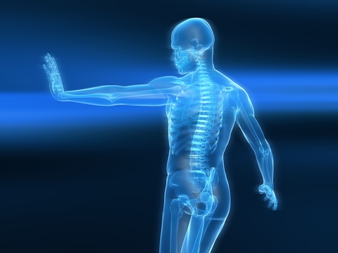 immune_system.jpg