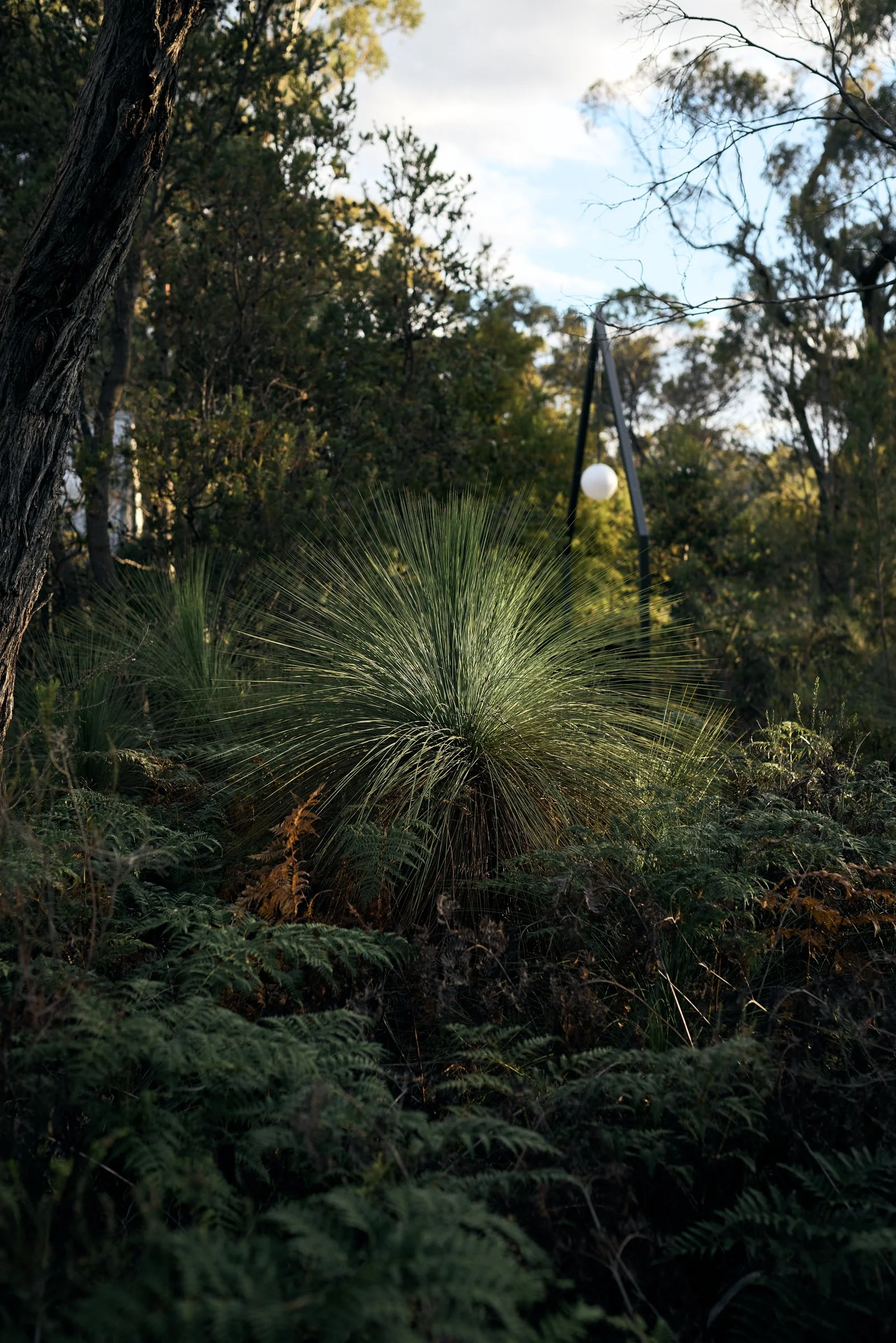 Manning Drive - 055_webres.jpg