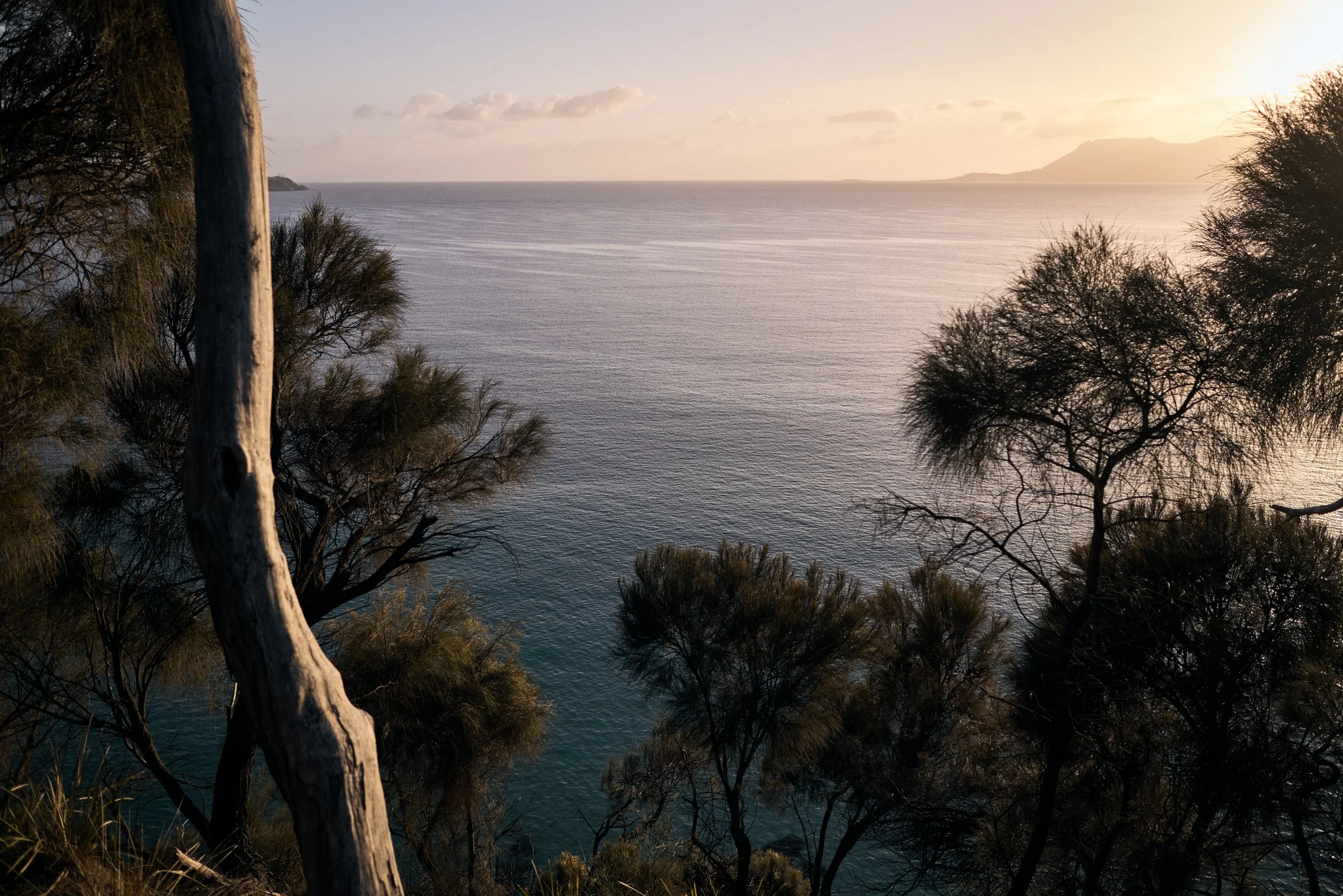 Manning Drive - 081_webres.jpg