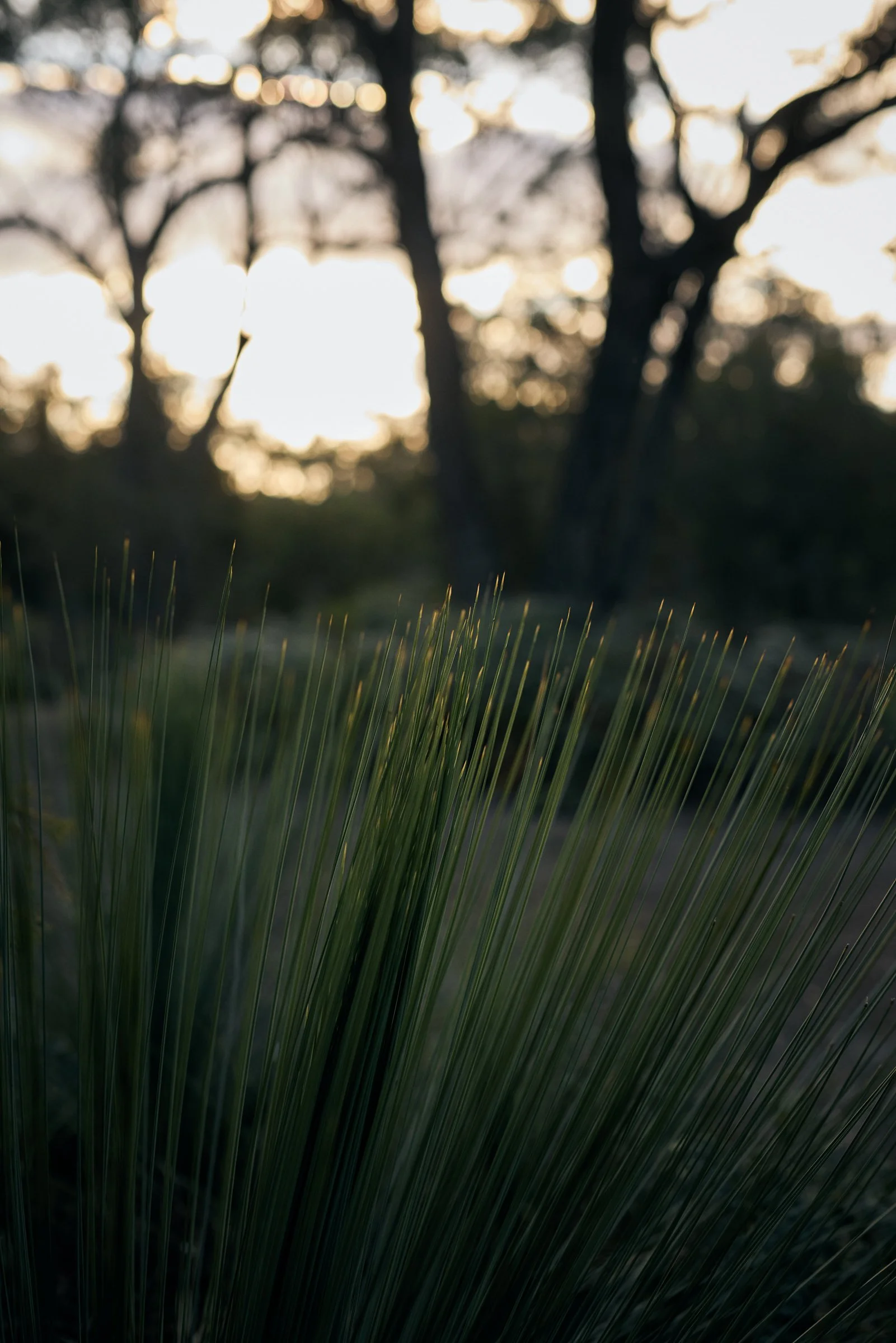 Manning Drive - 044_webres.jpg