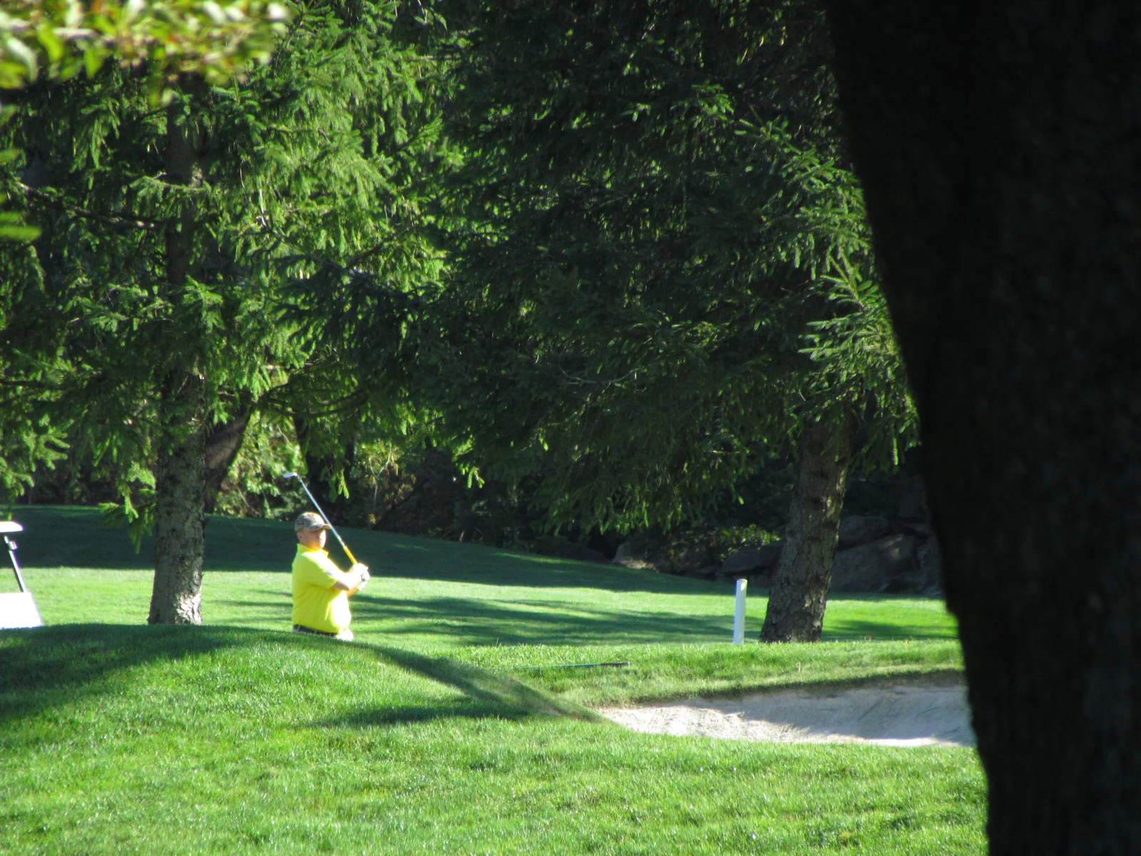 4061fce1a75bd3bd-IMG_2859.JPG