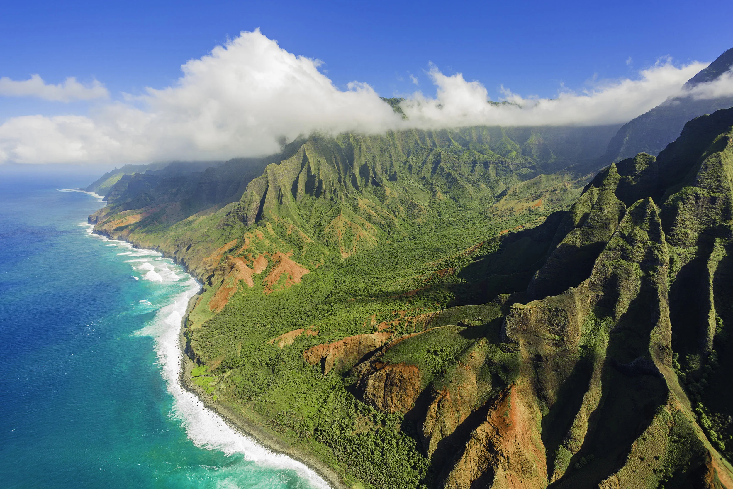 _O1A3117 as Smart ObjectWorkingWeb.jpg