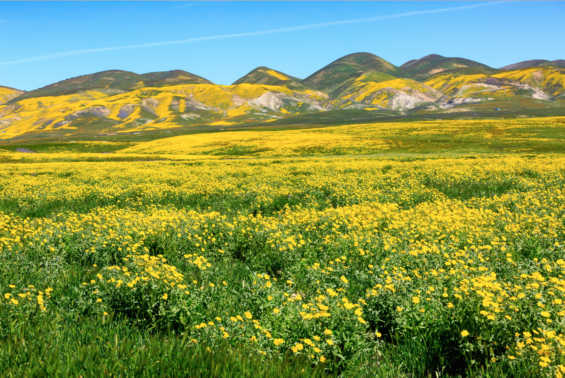 Screen Shot 2017-07-26 at 14.11.46.png