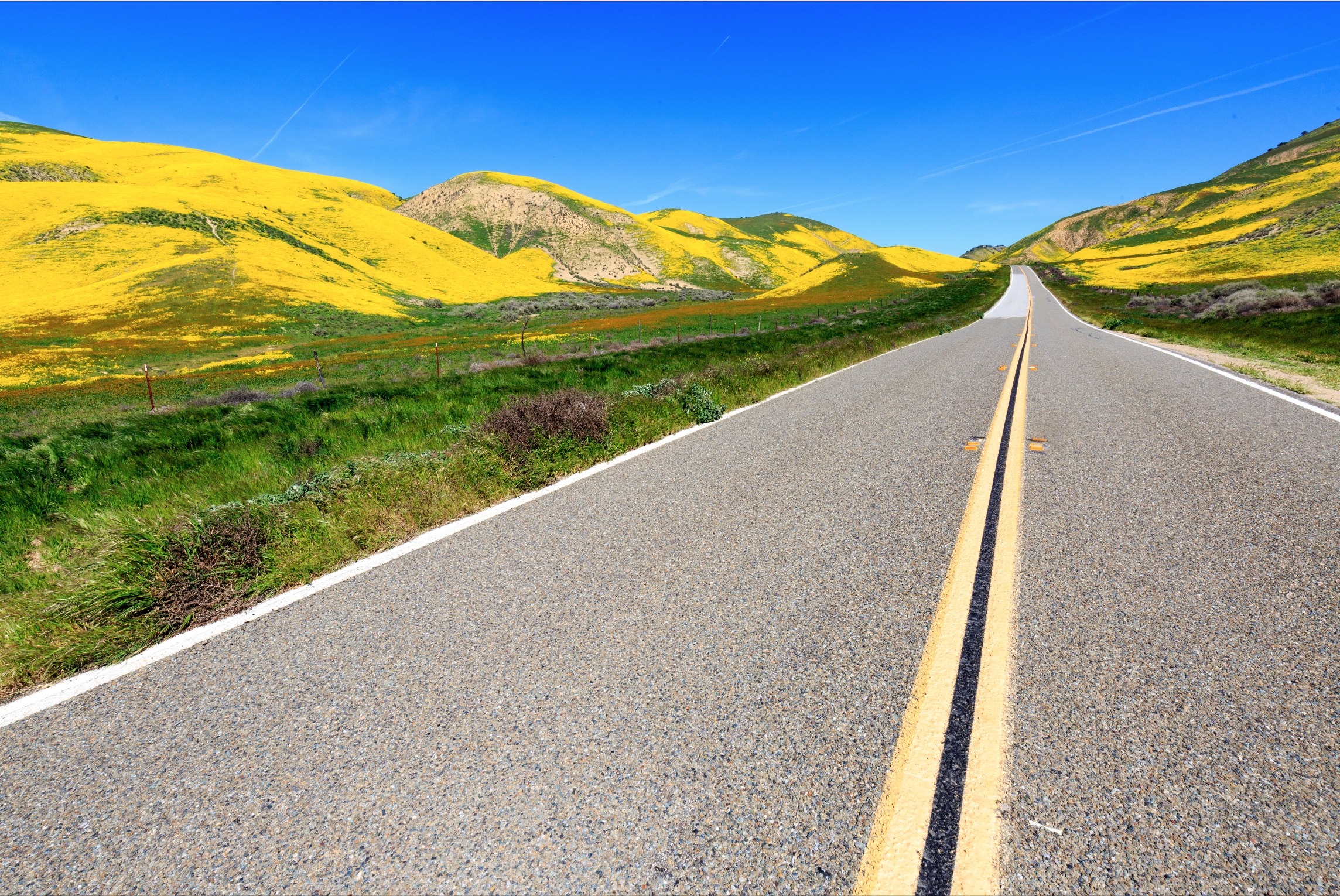 Screen Shot 2017-07-26 at 14.14.47.png