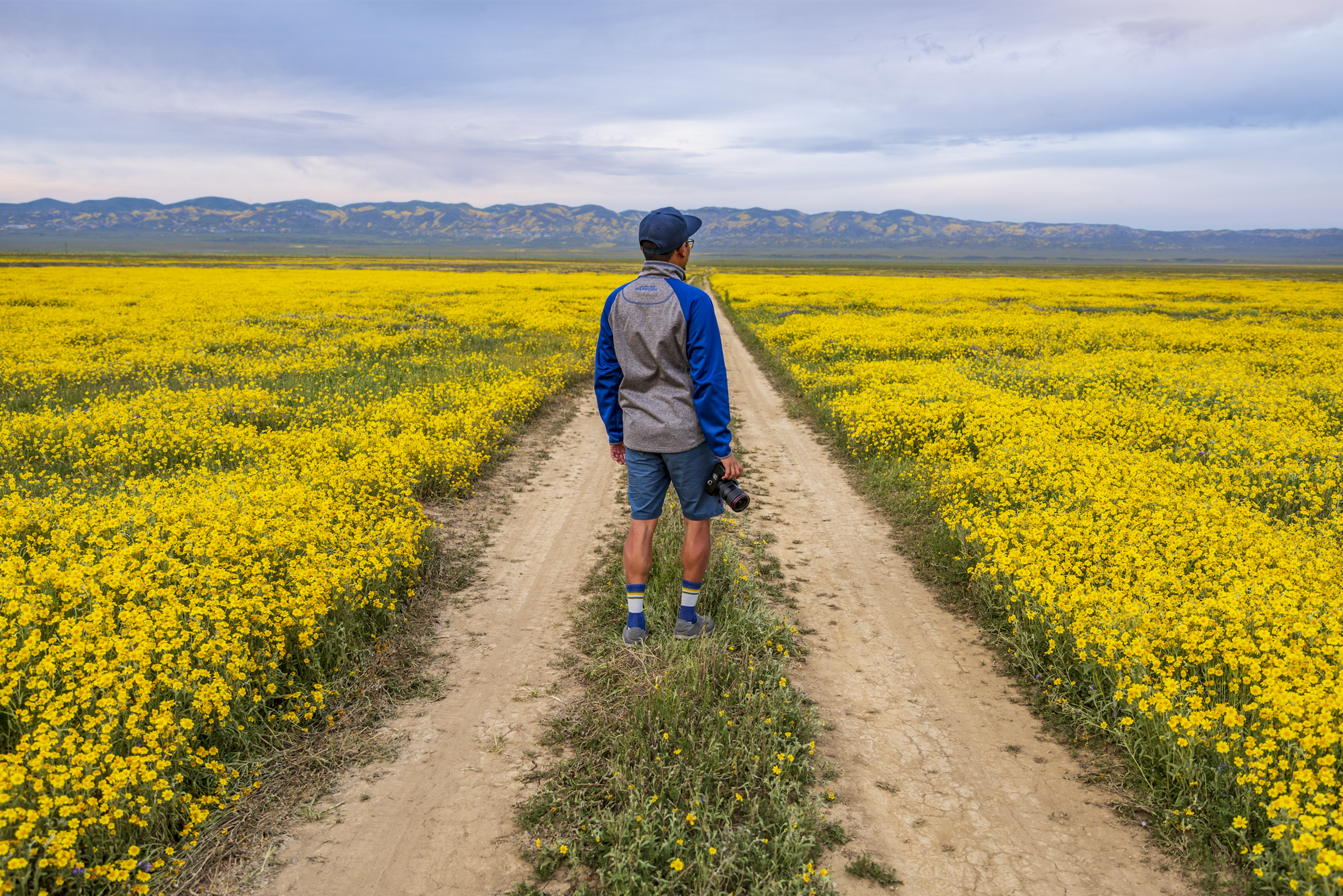 Screen Shot 2019-10-25 at 11.31.26 AM.png