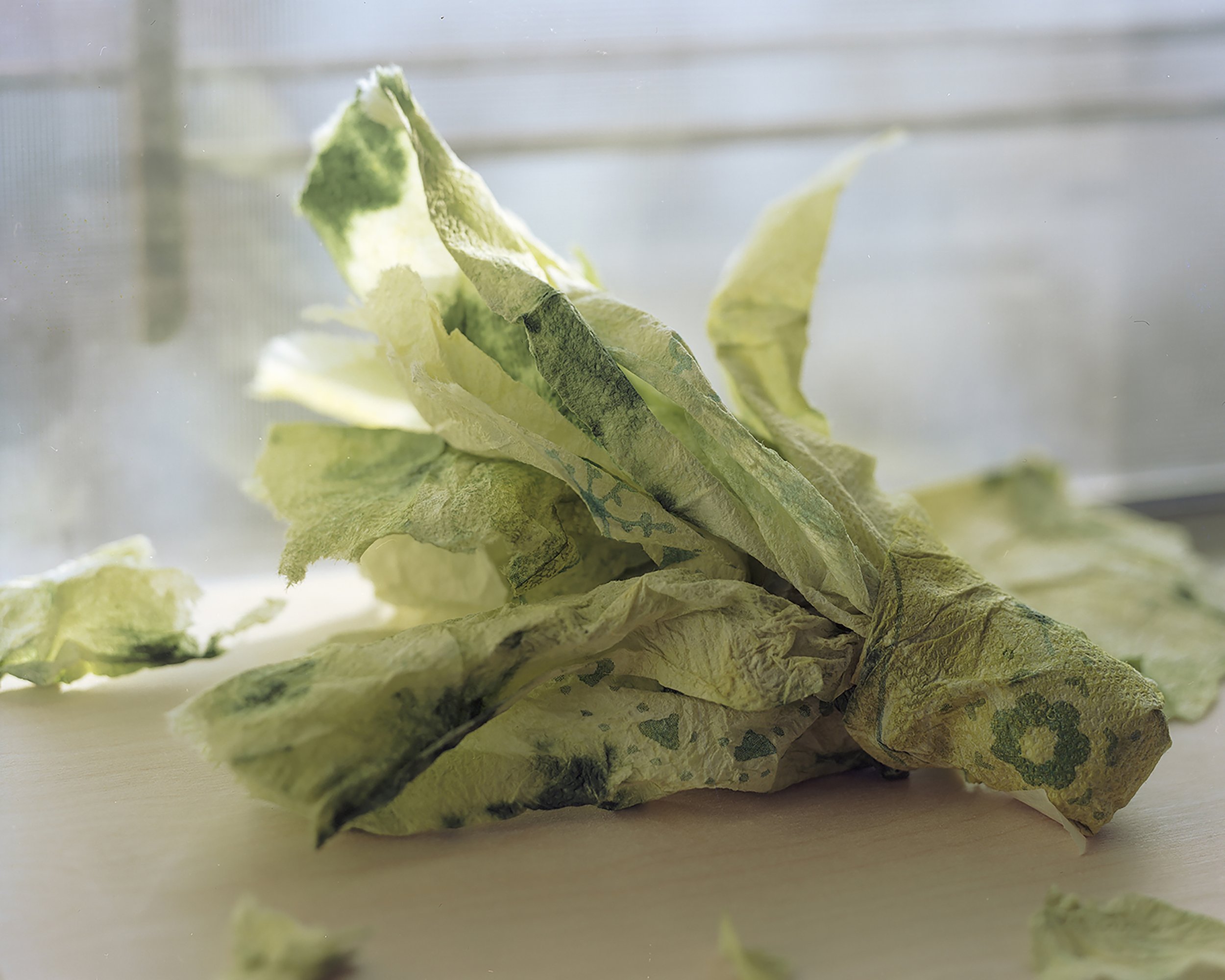 Paper Towels as Romaine Lettuce_2019.jpg