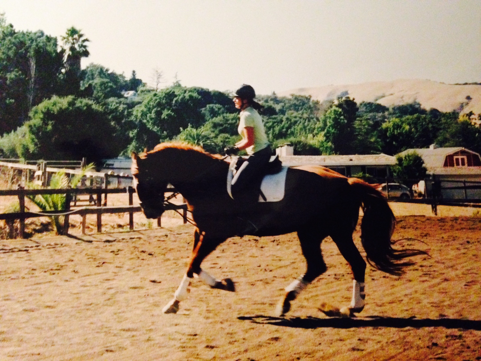 Learning to ride on my faithful schoolmaster Cezanne, a Swidish WB by Zorn.