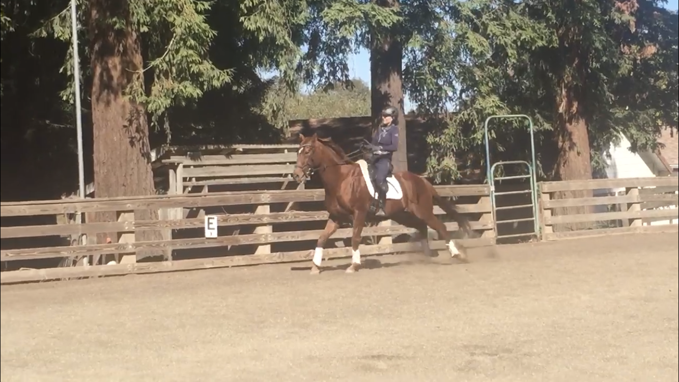 The (il-)legitimate Spook