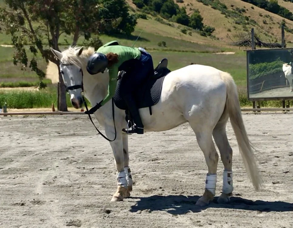 Punishment Doesn’t Work