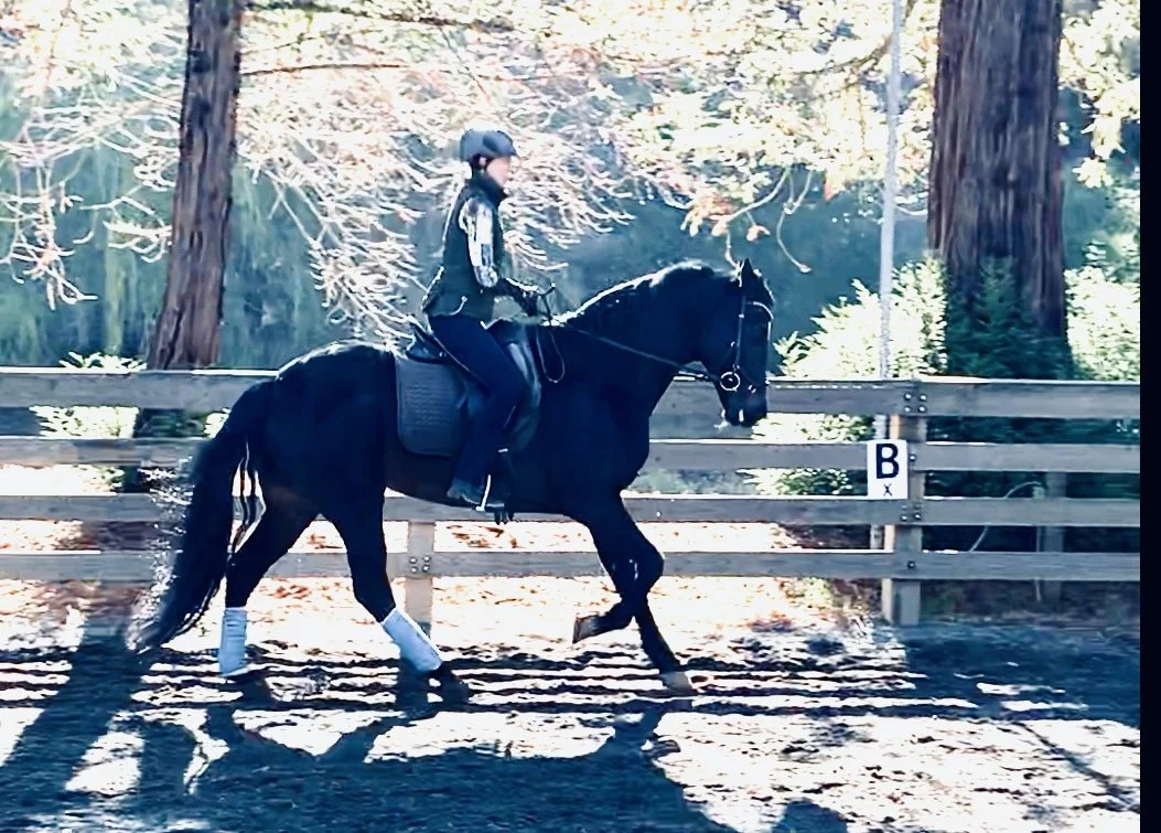 4 Dos and Don'ts When Utilizing Training Videos