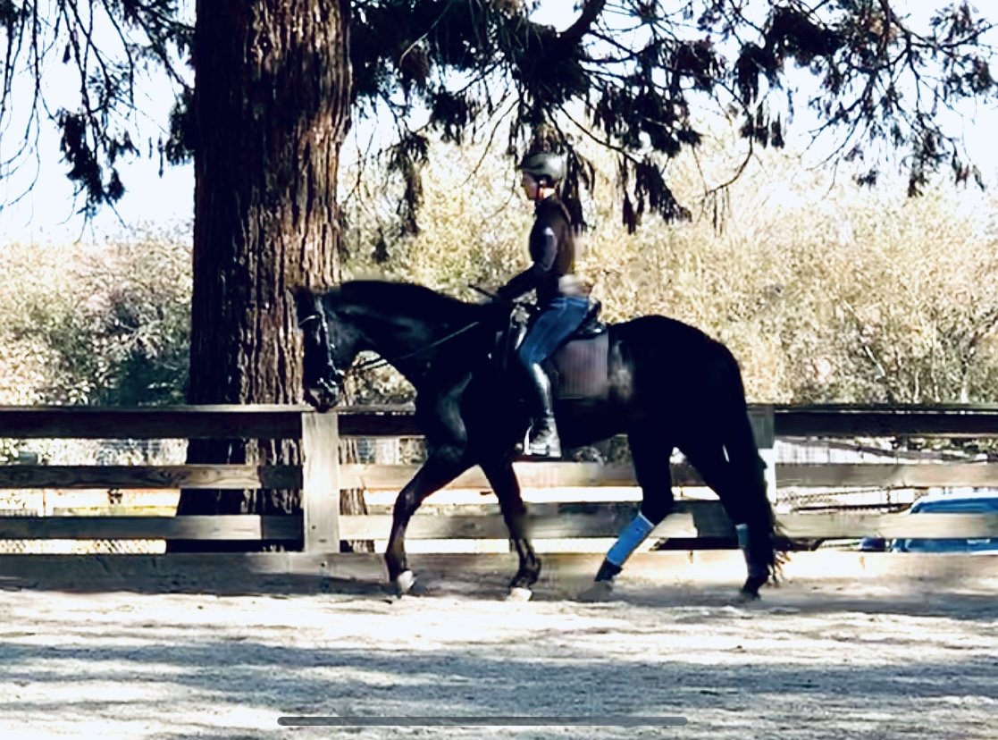 The Rider's Job Title: Chief Explainer 