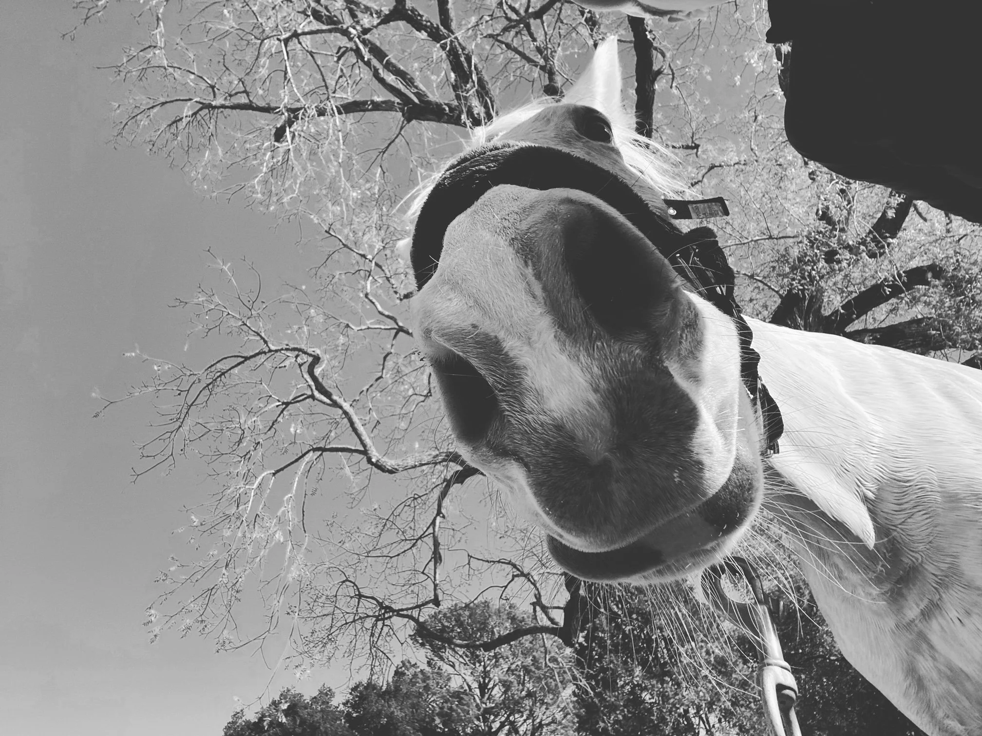 Relationship Advice or How You Show Up