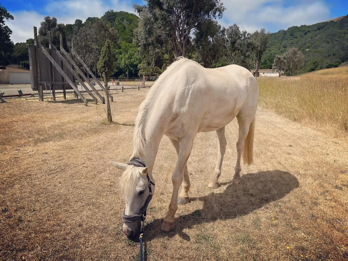 What I'm Learning About Energy 