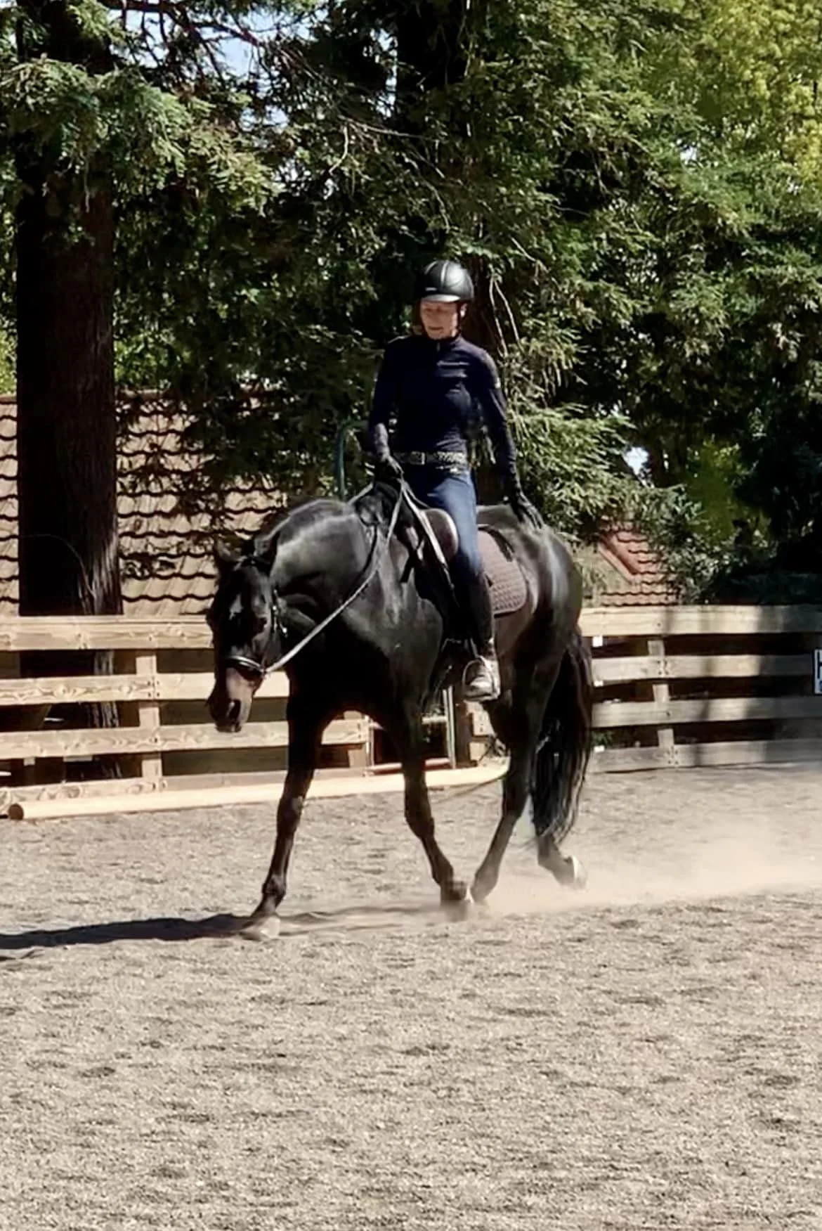 Conscious Dressage – What's in the New Name