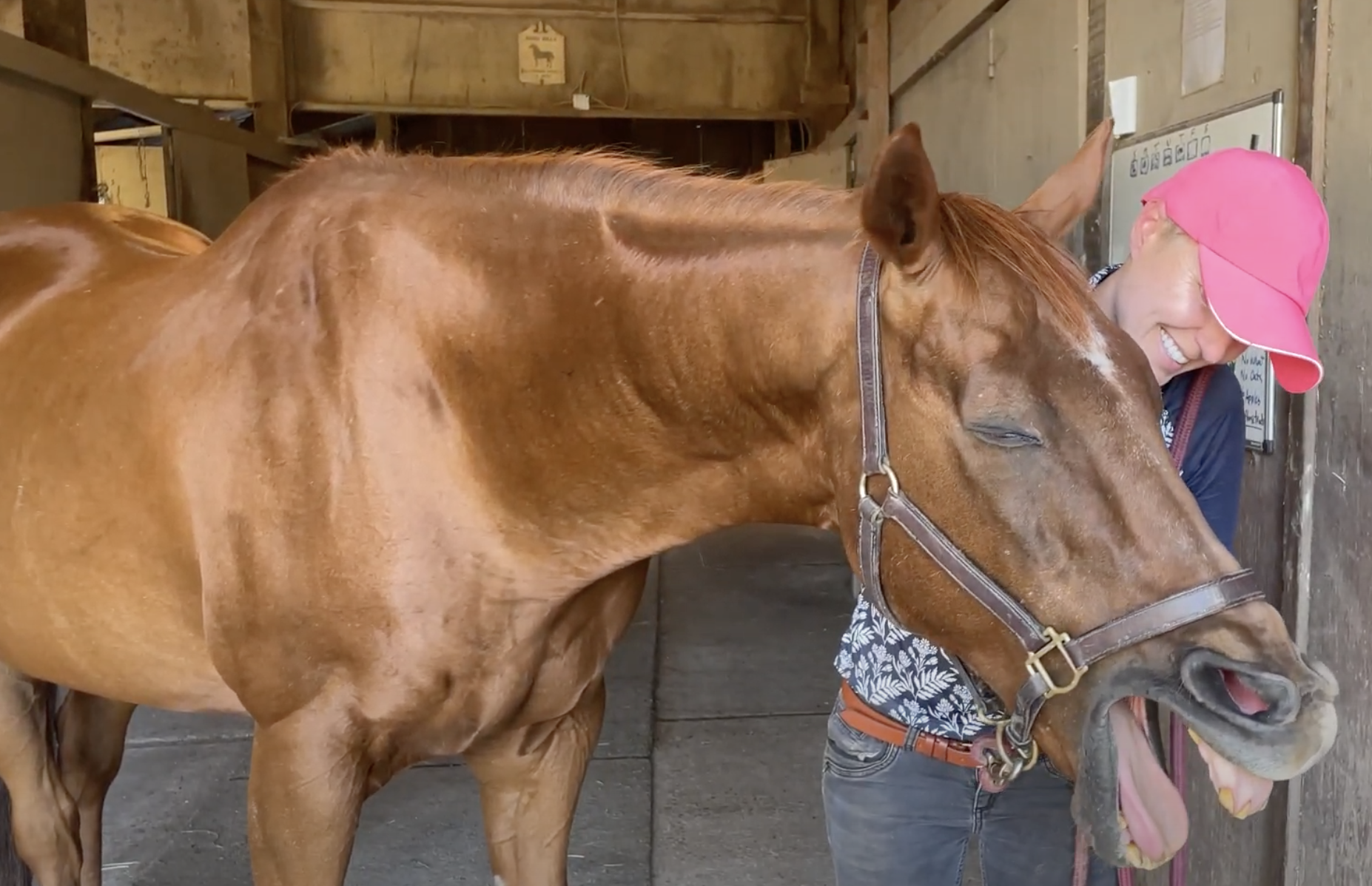Evolution of the Self as a Horseperson
