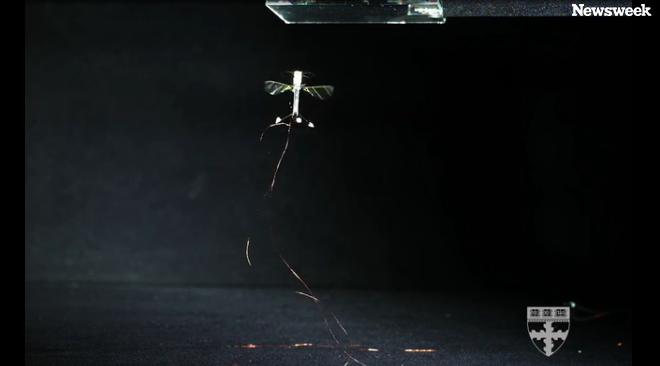 Inspiring Robotics