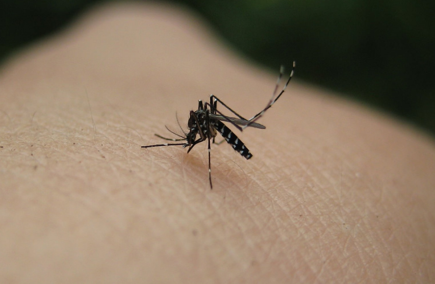 Combating Viruses & Disease