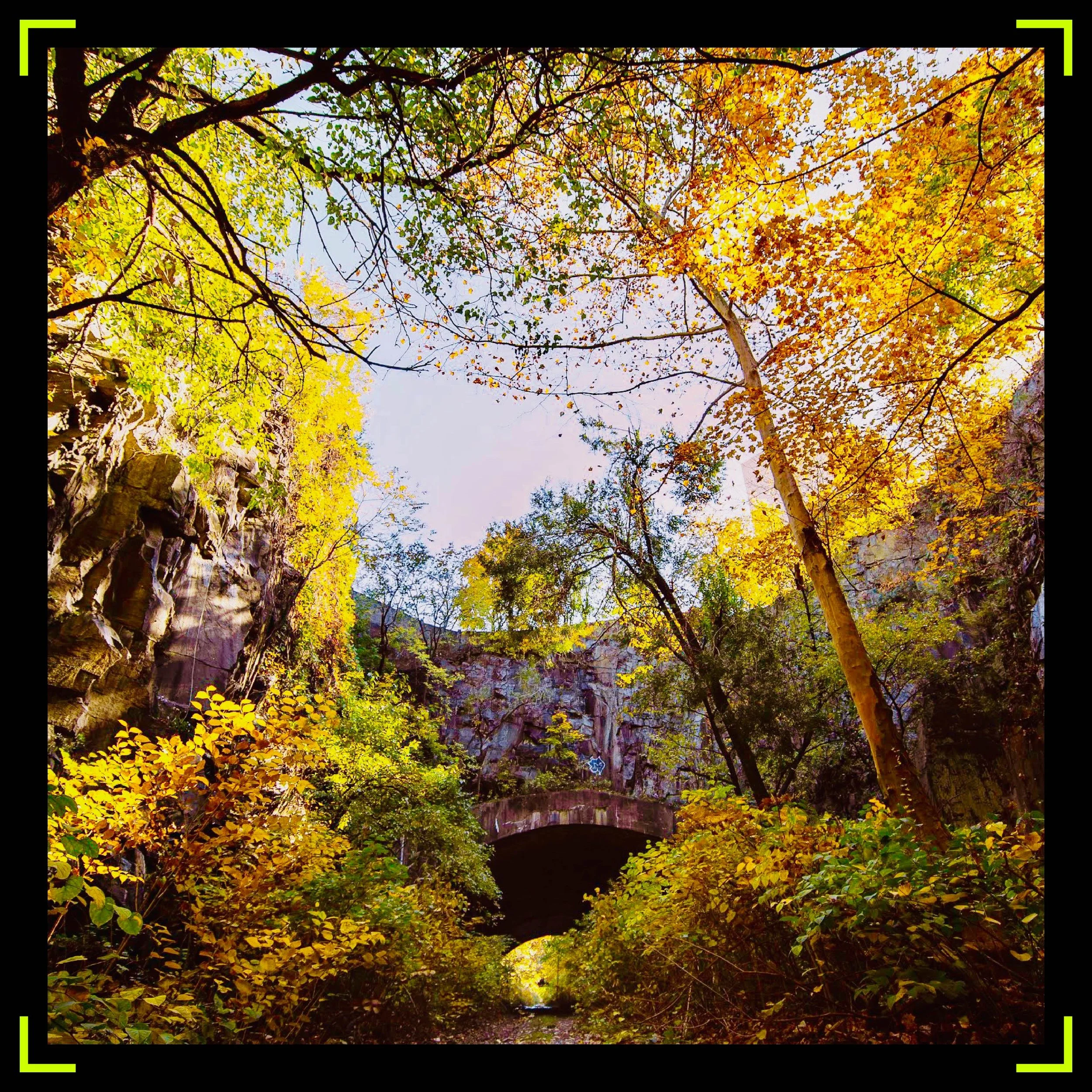 Vision Page - IMAGE TEMPLATE-01.jpg