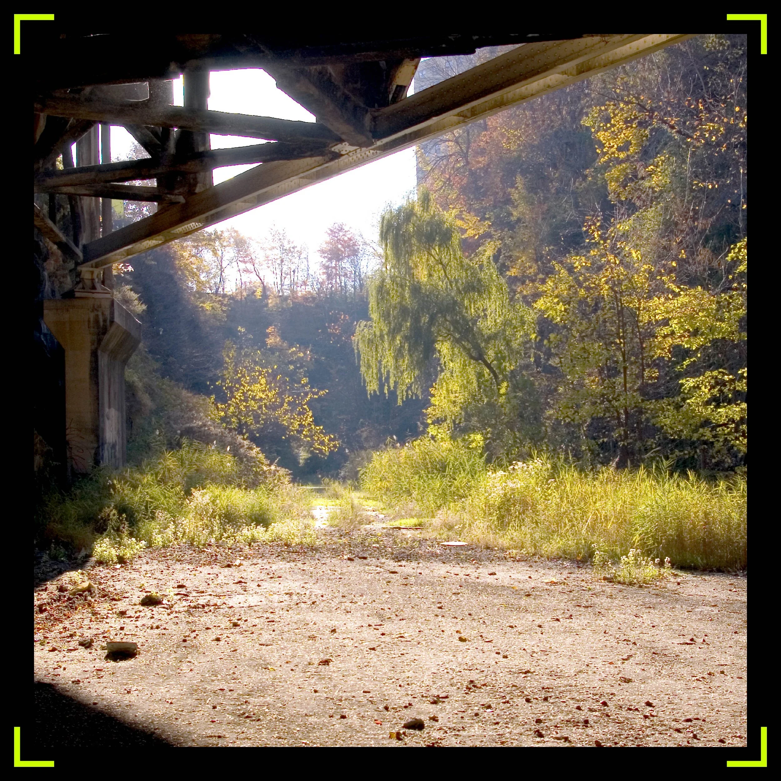 Vision Page - IMAGE TEMPLATE-02.jpg