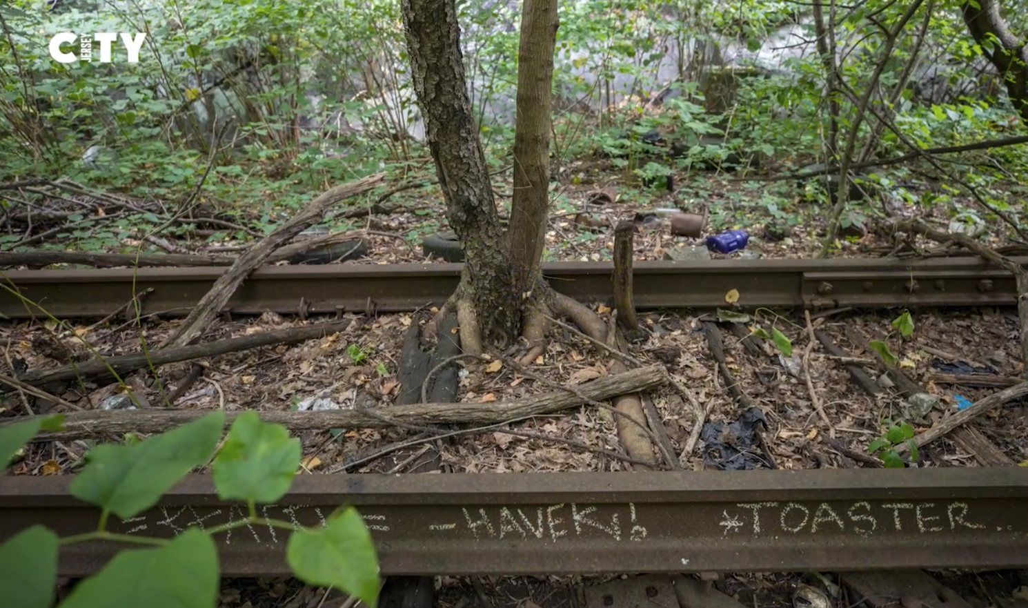 Screenshot 2024-08-04 at 6.22.44 PM.png