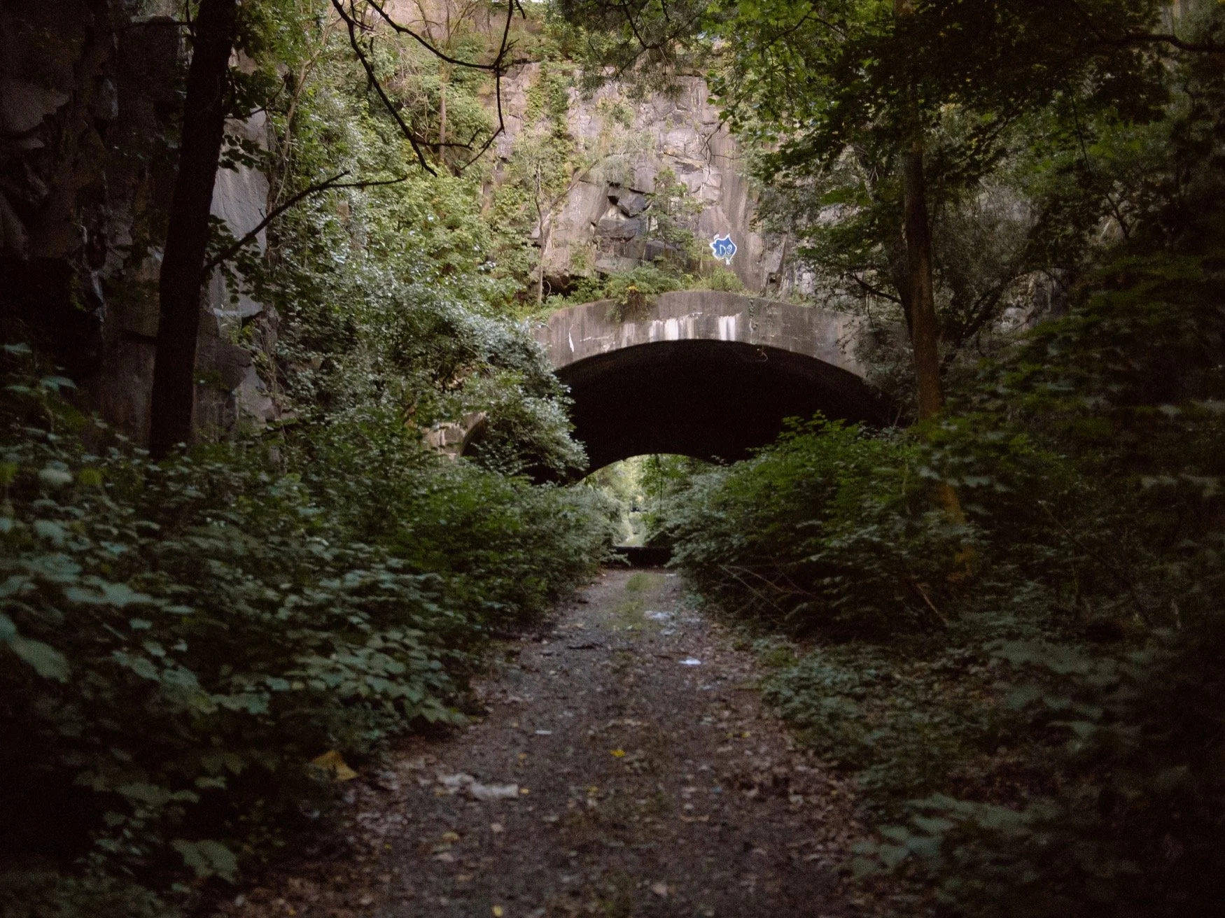 Just a quick reminder that our event will be starting now!
You can join us live using the link below:
https://youtube.com/live/KaksAcEXsZE?feature=share