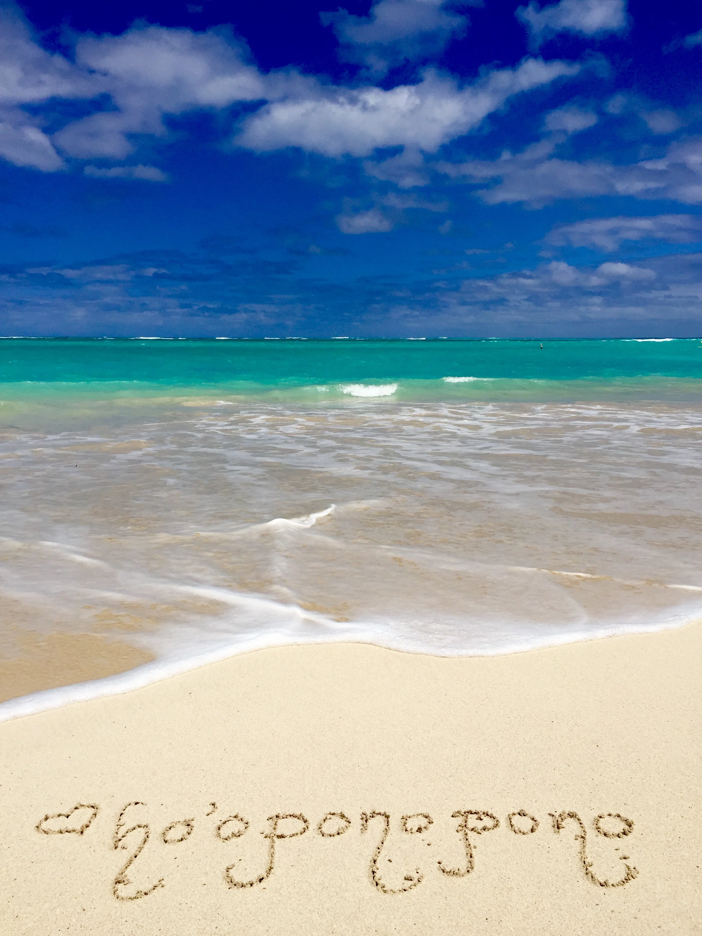 Ho'o pono.jpg
