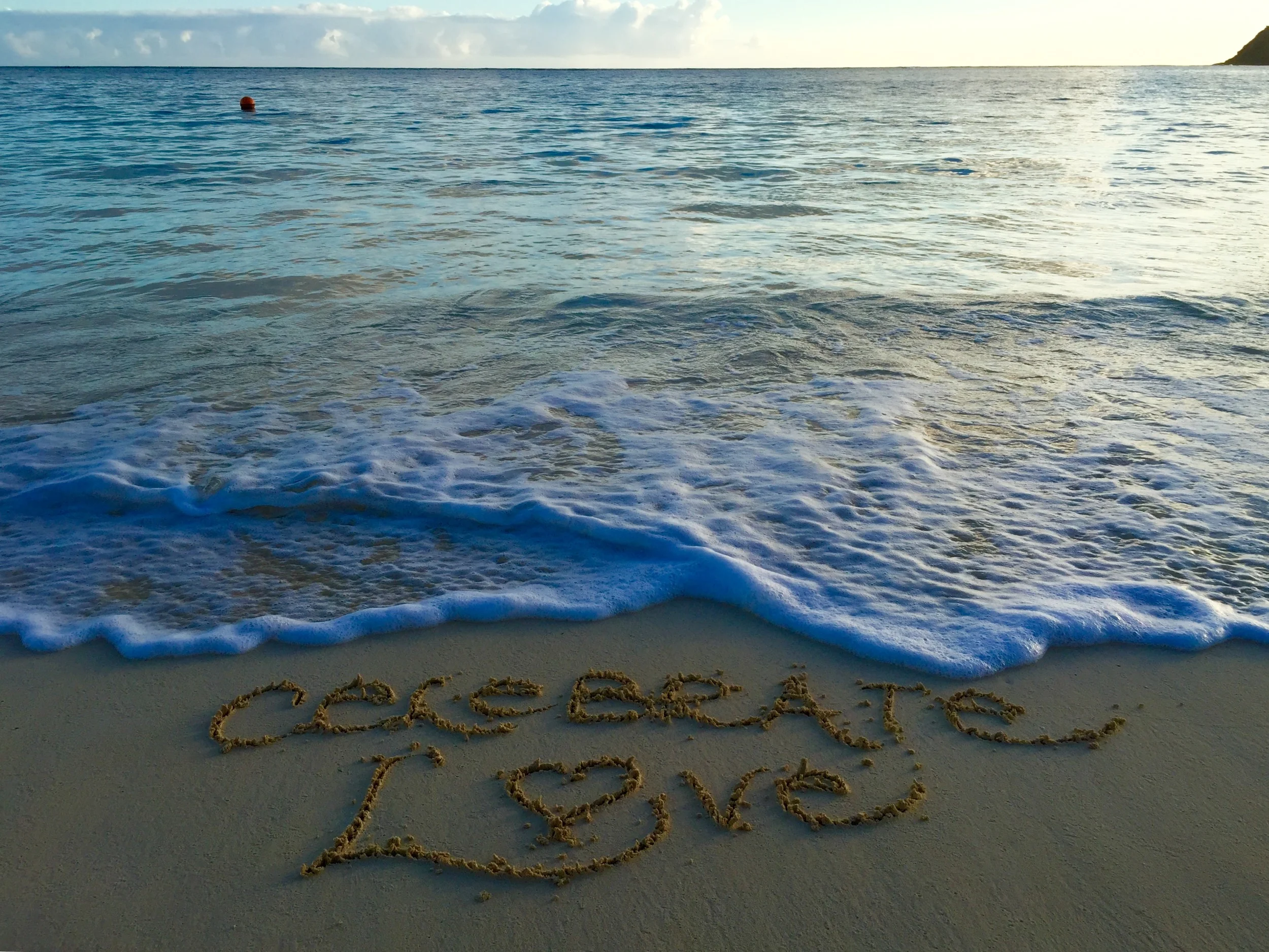 Celebrate love.JPG