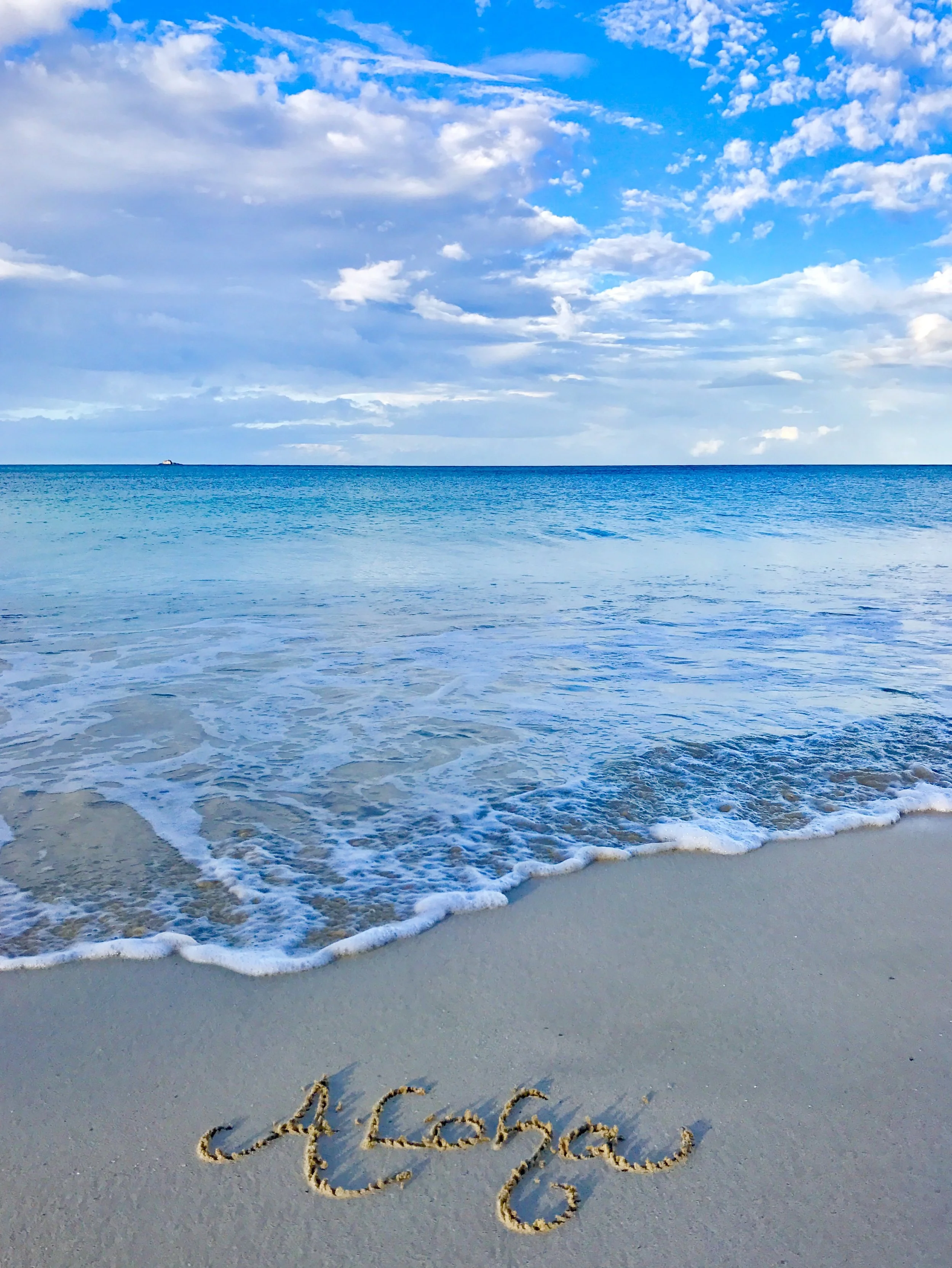 Aloha Blue.JPG
