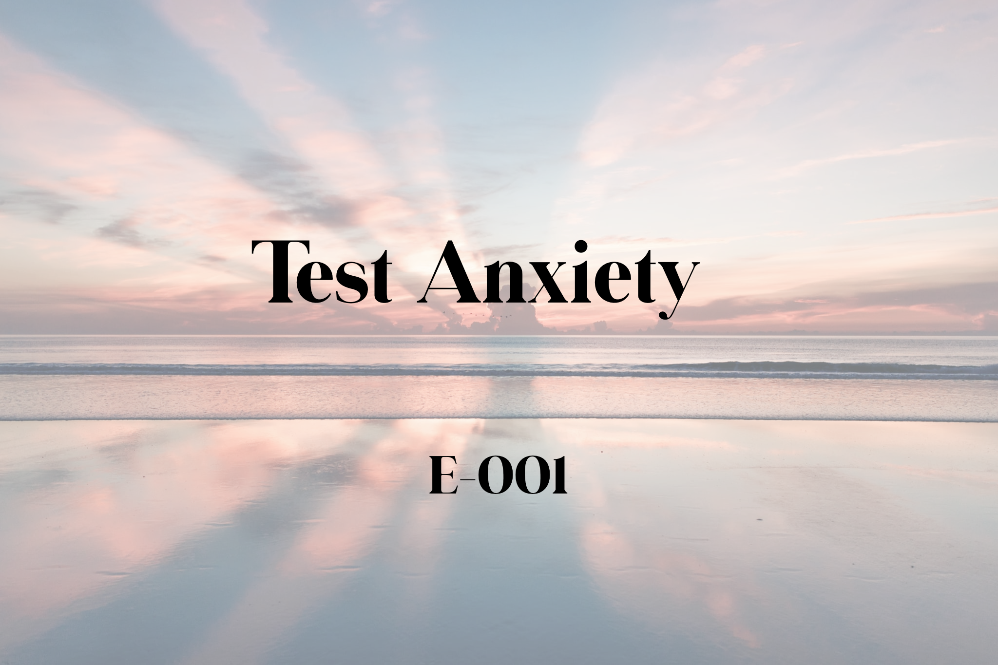 IMG_7805.png