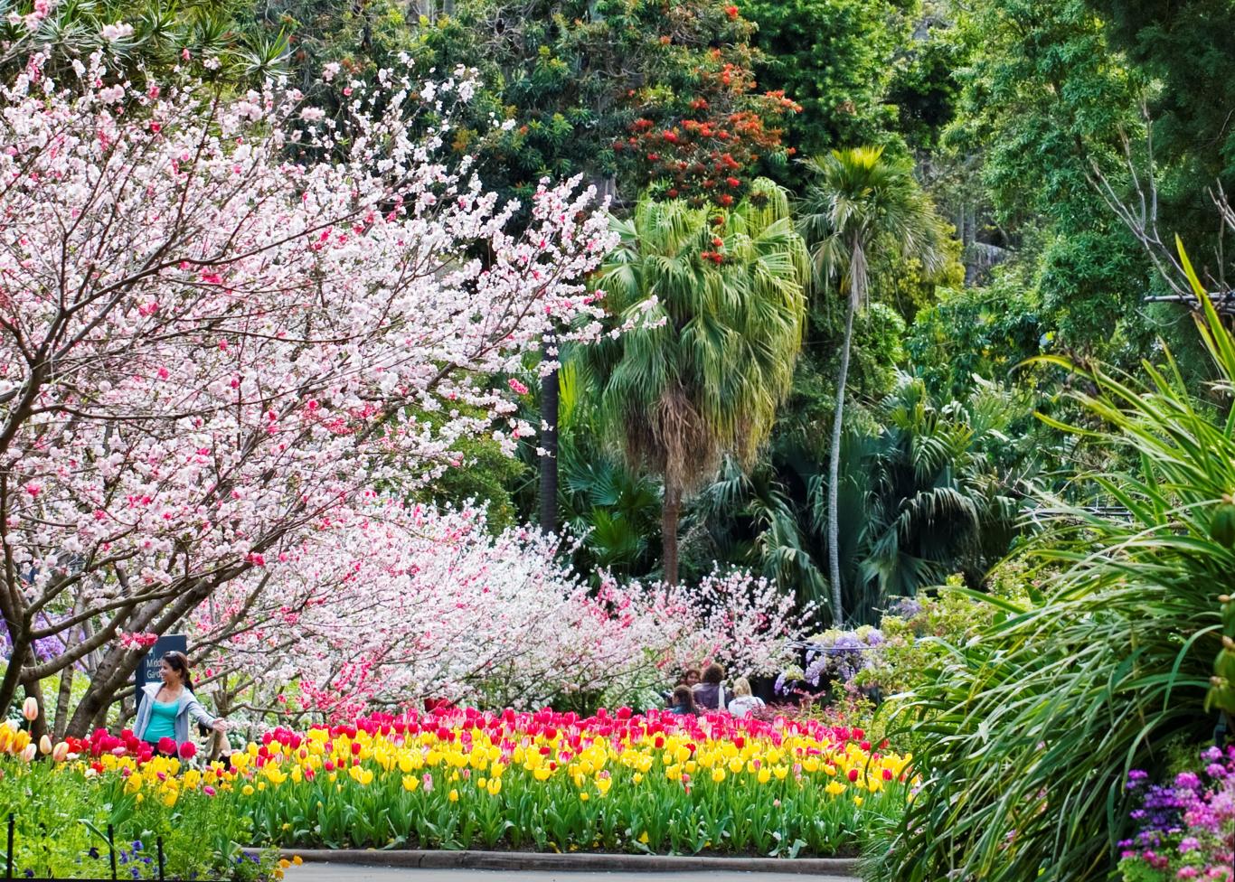 royal botanic gardens