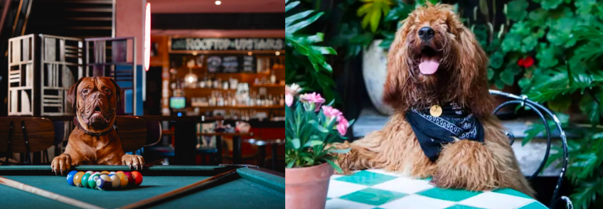Darlo Bar / Beresford