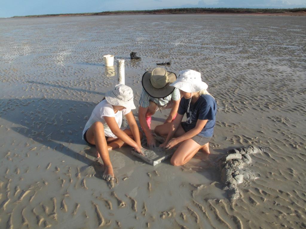  The reason for all these shorebirds? The glorious mudflats of Roebuck Bay. These mudflats have the highest benthic diversity of any mudflat studied so far. 