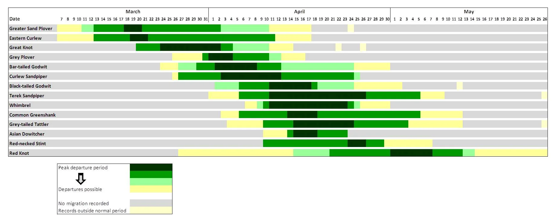 Departure windows for shorebirds in Roebuck Bay, based on the BBO’s migration watch data from 2012 to 2015.