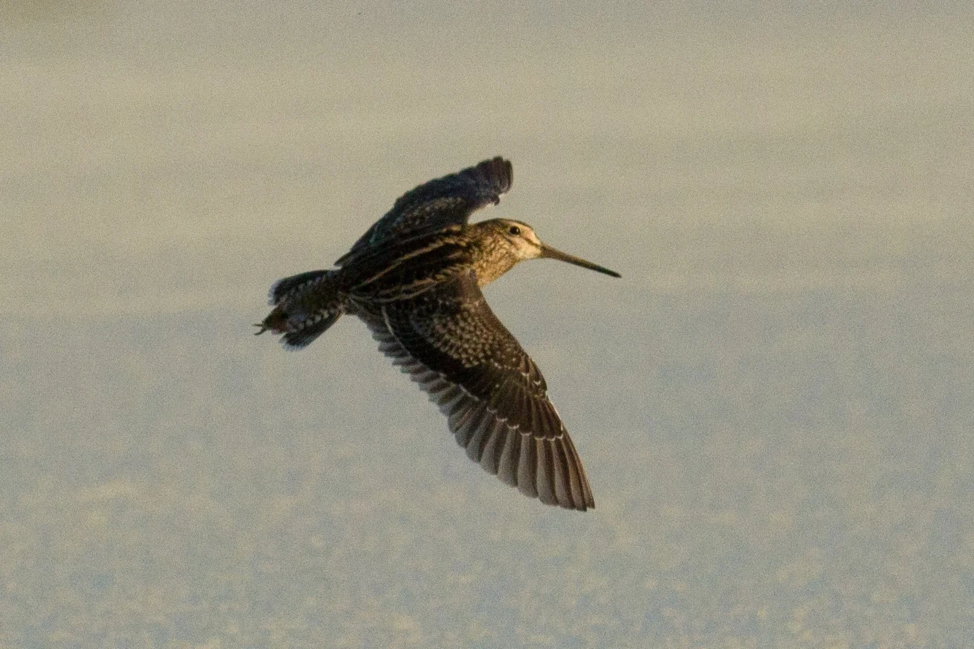 Late August and September (2015)