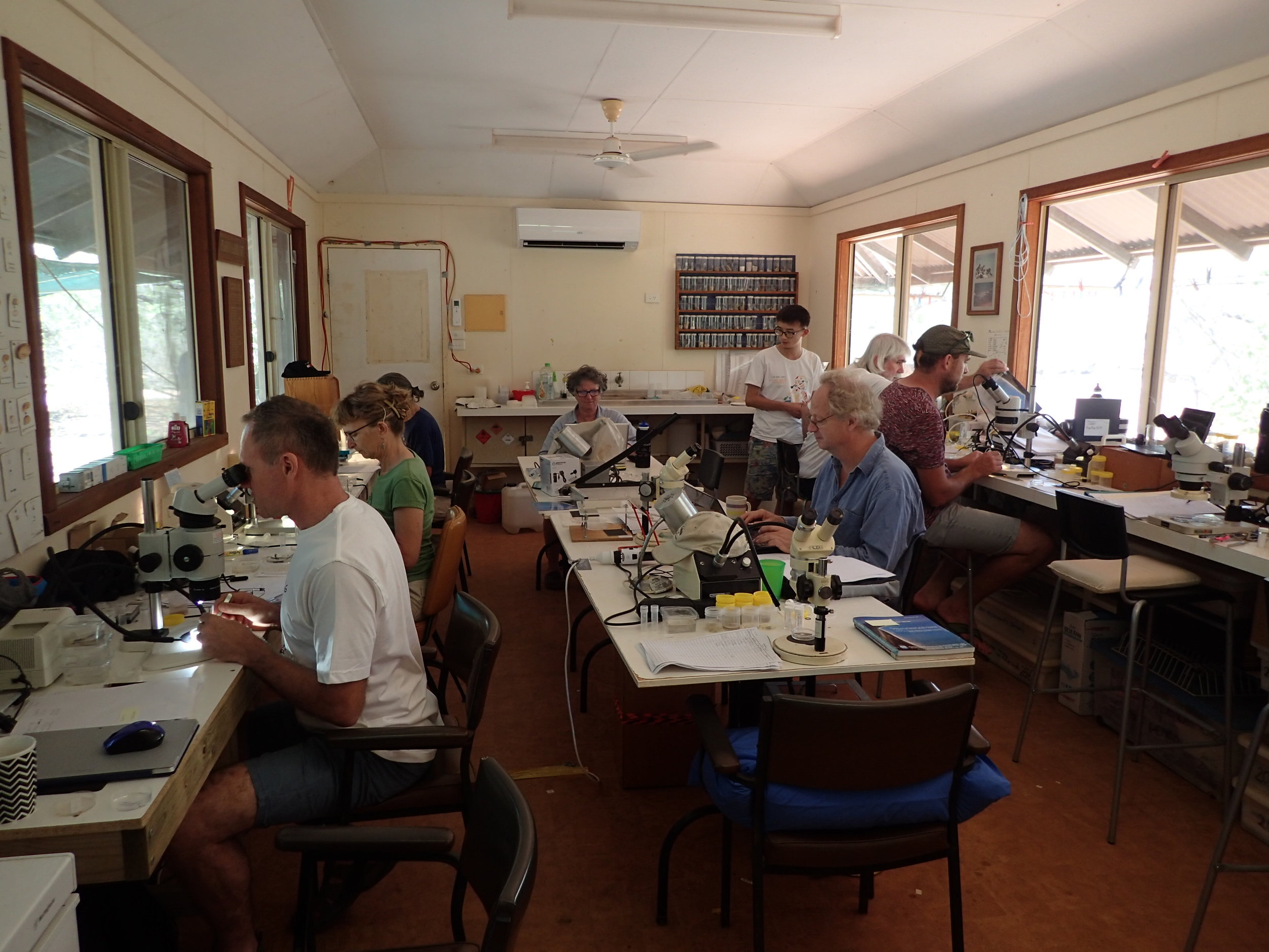 Members of the AnnRoeBIM16 expedition hard at work sorting samples in the Pearson Lab at BBO