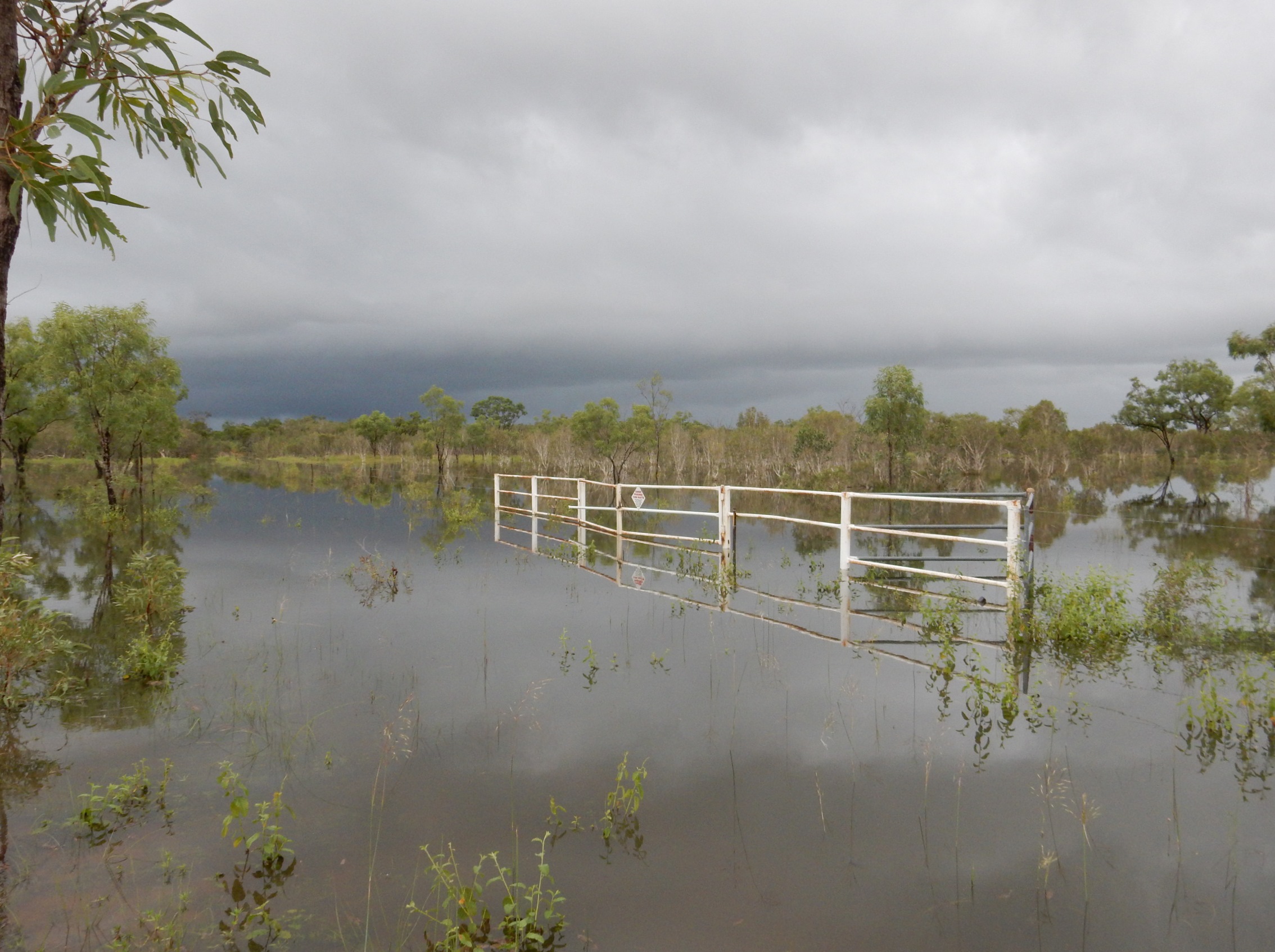 The Taylor's Lagoon gate in February. Guess we'll walk in then. Photo: John Graff