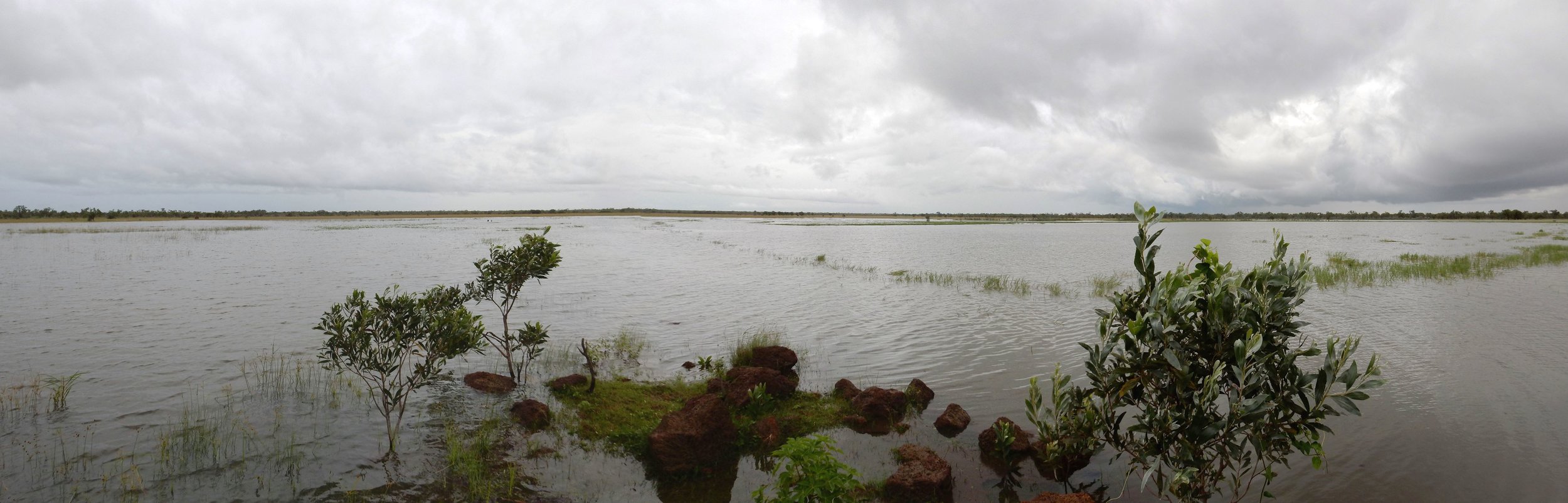 Taylor's Lagoon in February. Our usual parking area is just to the left of centre of the photo! Photo: John Graff