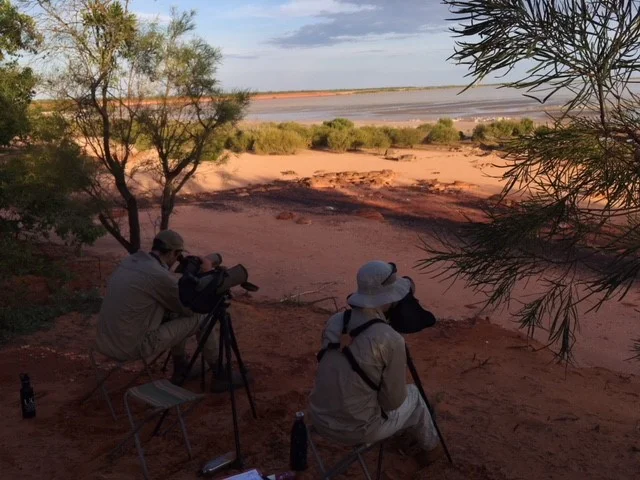 Wave the Waders Goodbye